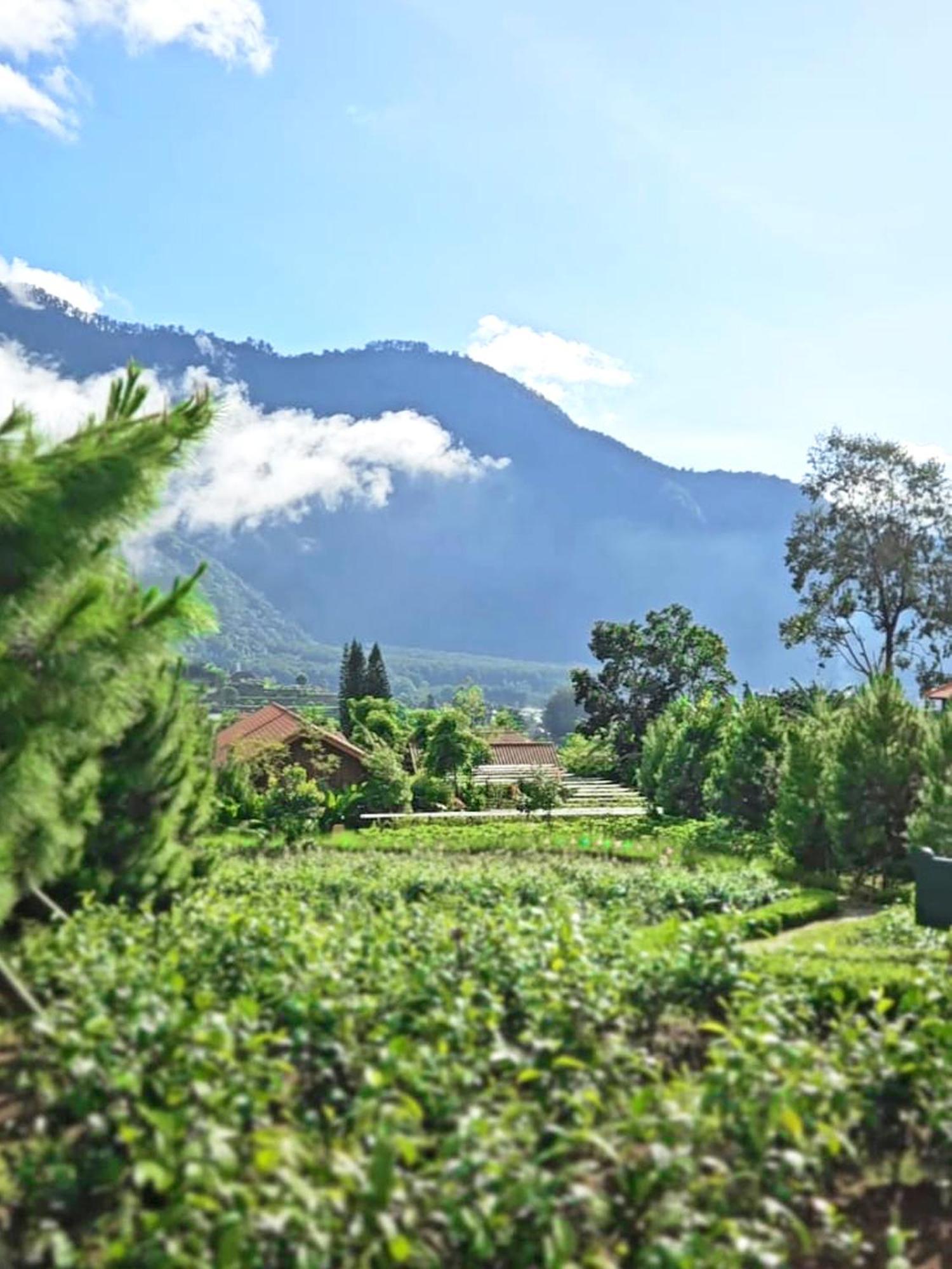 Готель Dusun Bedugul Asri Екстер'єр фото